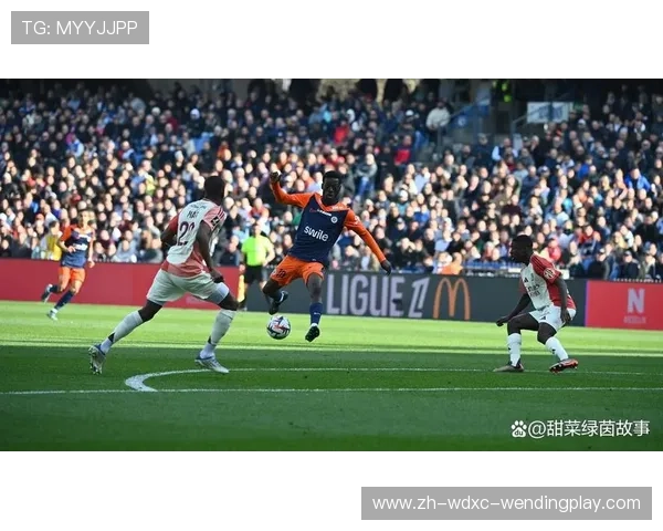 法甲在联赛球员：法甲的参赛球员数据分析