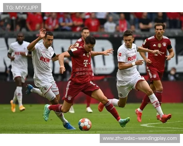 赞扬德甲球队实力与精神的专业用语汇总